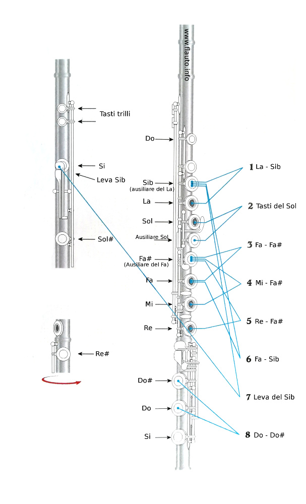 Regolazione_Flauto (small).jpg