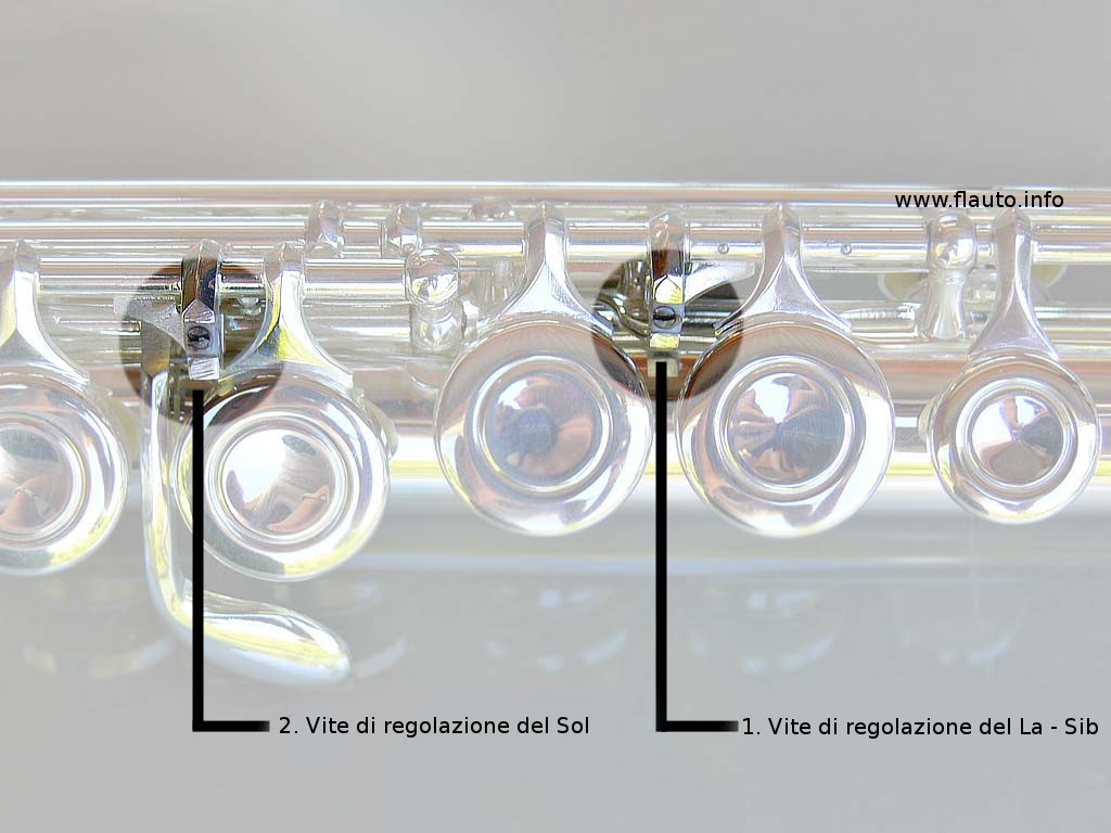 Regolazione_La-Sol.jpg