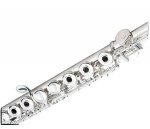 YFL-261(# 760553-) (Yamaha Stock Photo) (3).jpg