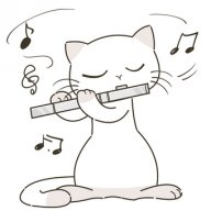 WhiteCat